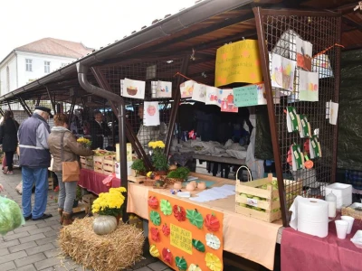 Organska pijaca