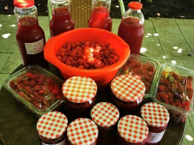 Organska prerađena malina