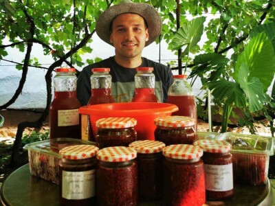 Organska prerađena malina