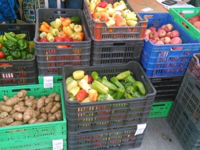 Organska proizvodnja