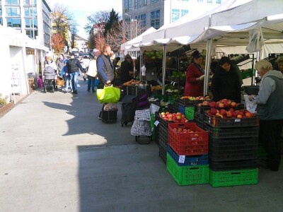 Organska proizvodnja