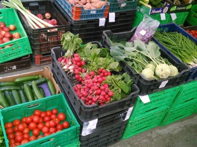 Organska proizvodnja