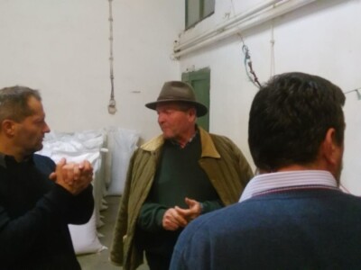 Organska proizvodnja