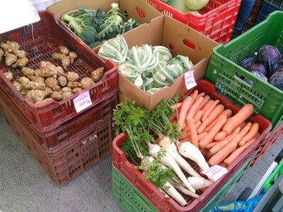 Organska proizvodnja