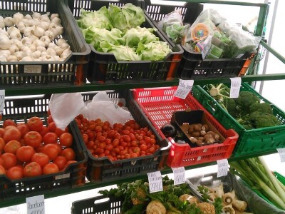 Organska proizvodnja