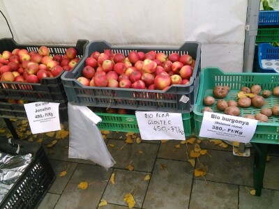 Organska proizvodnja