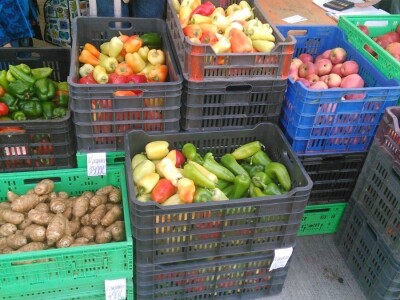 Organska proizvodnja