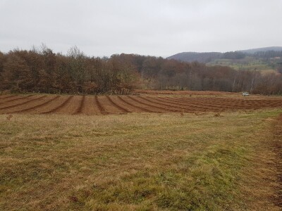 Organska proizvodnja i proizvodi Organska proizvodnja i proizvodi