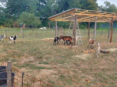 Organska proizvodnja i proizvodi Organska proizvodnja i proizvodi