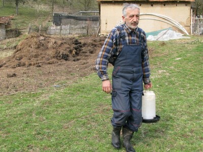 Organska proizvodnja jaja Organska proizvodnja jaja