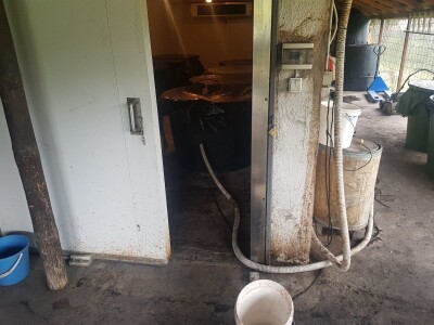 Organska proizvodnja krušaka Organska proizvodnja krušaka