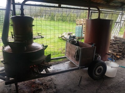 Organska proizvodnja krušaka Organska proizvodnja krušaka