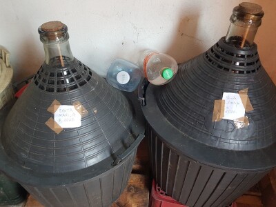 Organska proizvodnja krušaka Organska proizvodnja krušaka