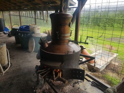 Organska proizvodnja krušaka Organska proizvodnja krušaka