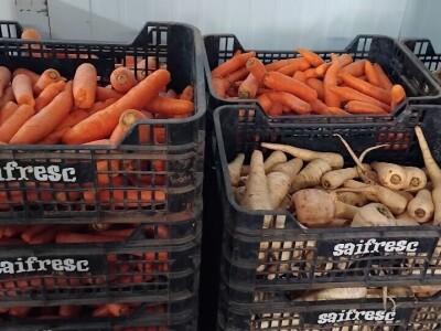 Organska proizvodnja u Valensiji