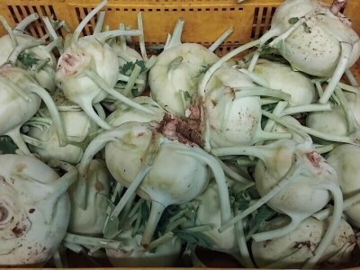 Organska proizvodnja u Valensiji