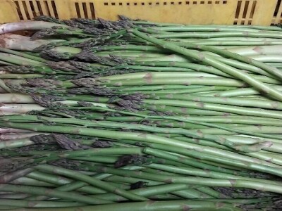 Organska proizvodnja u Valensiji