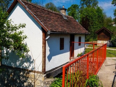 Organska prozivodnja - neiskorišćena šansa Srbije