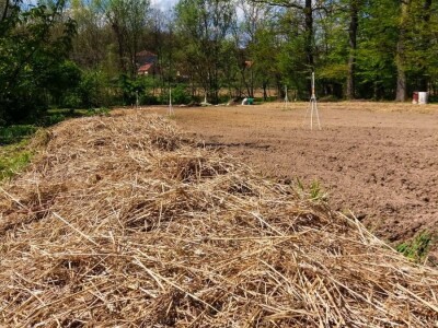 Organska prozivodnja - neiskorišćena šansa Srbije