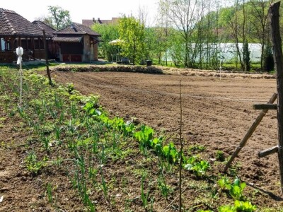 Organska prozivodnja - neiskorišćena šansa Srbije