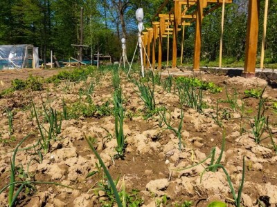 Organska prozivodnja - neiskorišćena šansa Srbije