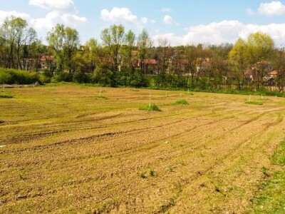 Organska prozivodnja - neiskorišćena šansa Srbije