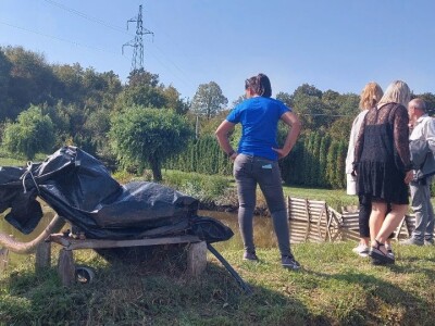 Organska rakija od krušaka