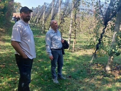 Organska rakija od krušaka