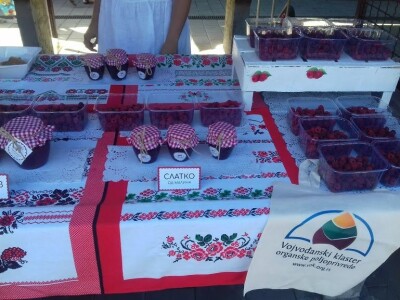 Organska ulica novi Sad