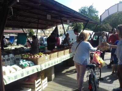 Organska ulica novi Sad