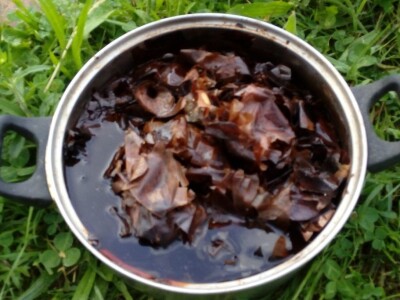 Organska zaštita voća nakon berbe