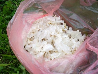 Organska zaštita voća nakon berbe