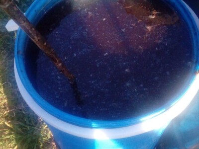 Organska zaštita voća nakon berbe