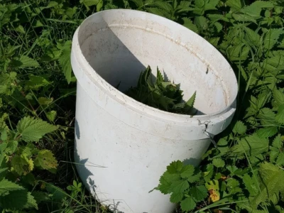 Organska zaštita voća nakon berbe