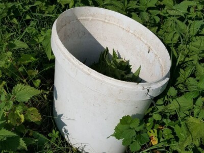 Organska zaštita voća nakon berbe