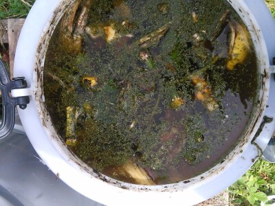 Organska zaštita voća nakon berbe