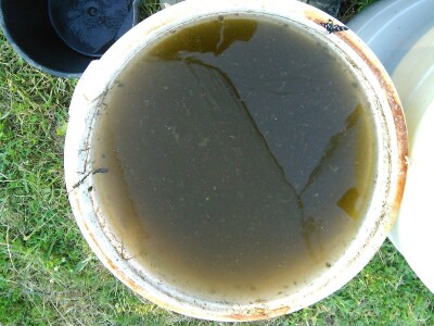 Organska zaštita voća nakon berbe