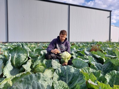 Organski futoški kupus