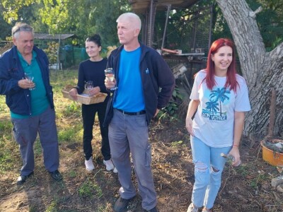 Organski vinograd u Tavankutu Organski vinograd u Tavankutu