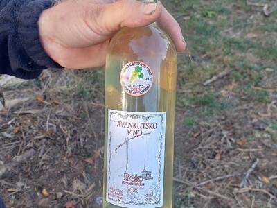 Organski vinograd u Tavankutu Organski vinograd u Tavankutu