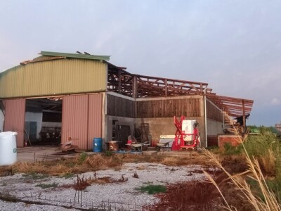 Orkanski vjetar odnio krv farme muznih krava Dišinac