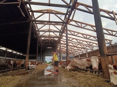 Orkanski vjetar odnio krv farme muznih krava Dišinac