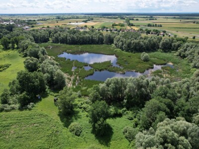 Ornitološki rezervat Podpanj