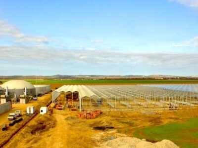 Izgradnja i opremanje 4,5 ha staklenika po sistemu ključ u ruke za hidroponski uzgoj rajčice