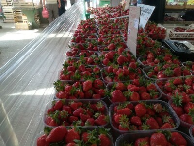 Osječka tržnica Osječka tržnica