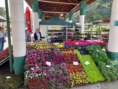 Osječki jesenski sajam Osječki jesenski sajam