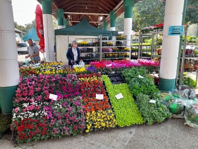 Osječki jesenski sajam Osječki jesenski sajam