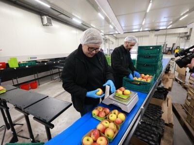 Osječko-baranjska županica Nataša Tramišak posjetila RDC