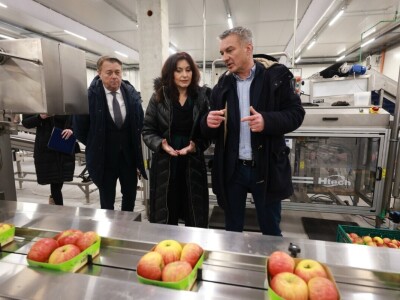 Osječko-baranjska županica Nataša Tramišak posjetila RDC