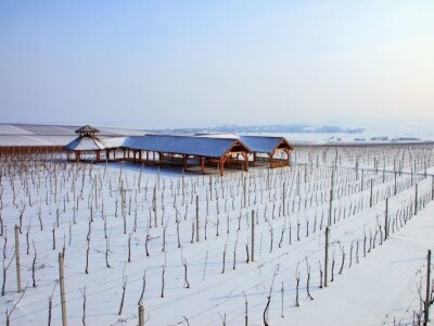 Osječko-baranjska županija bilježi turistički rast i u prošloj godini